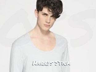 Harrys_Stick