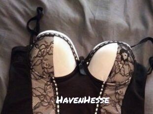 HavenHesse Ochranne Siete