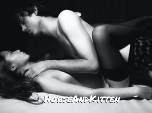 HorseAndKitten