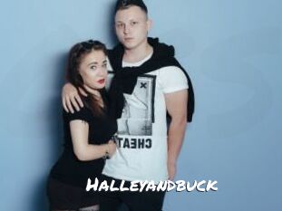 Halleyandbuck
