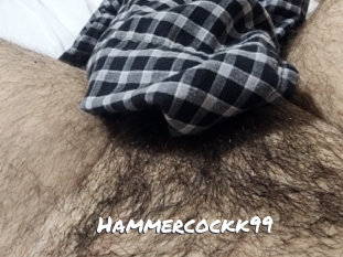 hammercockk99 Ochranne Siete