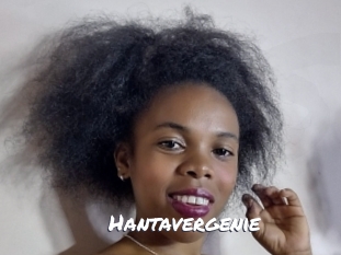 hantavergenie Ochranne Siete
