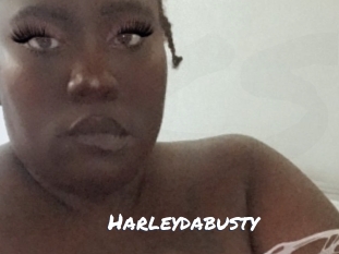harleydabusty Ochranne Siete