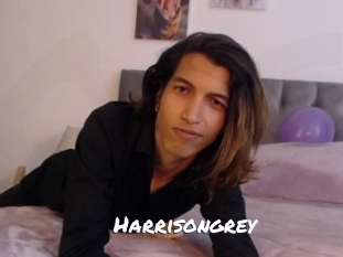 Harrisongrey