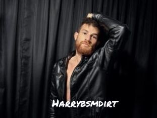 Harrybsmdirt