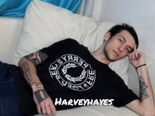 Harveyhayes