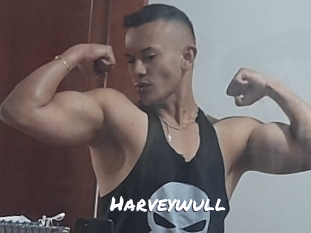 Harveywull