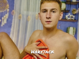 haryjack Ochranne Siete