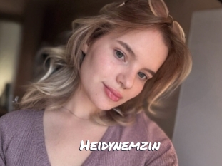 heidynemzin Ochranne Siete