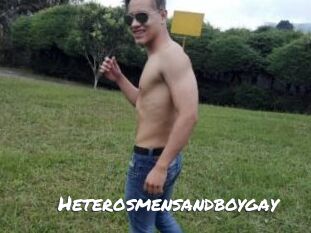 Heterosmensandboygay