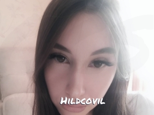 hildcovil Ochranne Siete