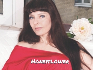 Honeyflower