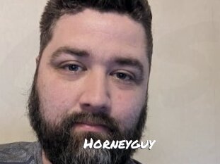Horneyguy