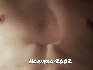 Hornyboy2002