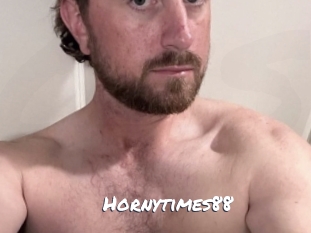 Hornytimes88