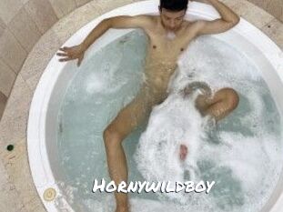 Hornywildboy
