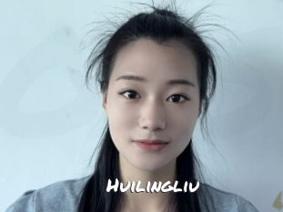 huilingliu Ochranne Siete