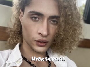 Hybridepool