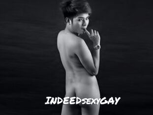 INDEEDsexyGAY