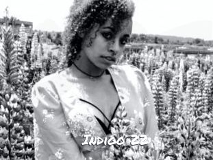 Indigo_22 Ochranne Siete