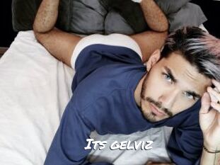 Its_gelviz