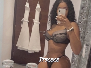 itscece Ochranne Siete