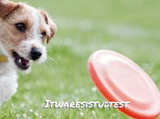 Itwaresistudtest