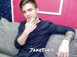 JakeSulii
