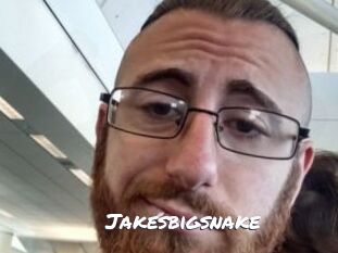 Jakesbigsnake
