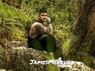 JamesMercury Ochranne Siete