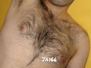 Jay66 Ochranne Siete