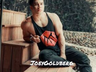 JoeyGoldberg