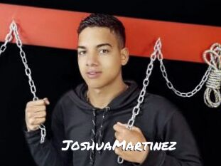 JoshuaMartinez Ochranne Siete