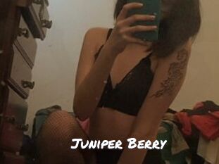 Juniper_Berry