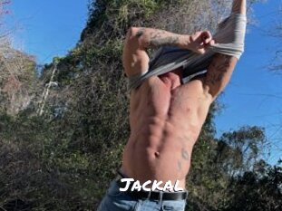 Jackal