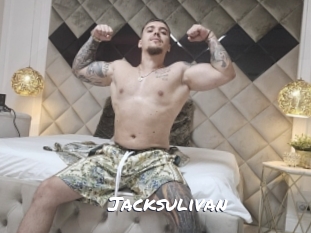 jacksulivan Ochranne Siete
