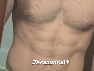 Jakesnake14