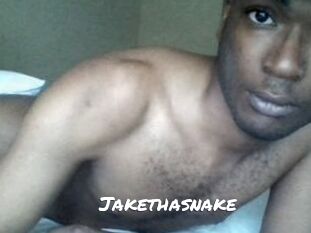 Jake_tha_snake