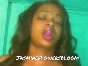 Jasmineflowersbloom
