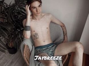 Jaybreeze