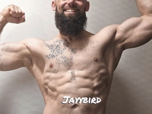 Jayybird