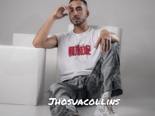 jhosuacollins Ochranne Siete
