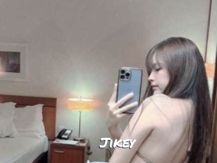 jikey Ochranne Siete