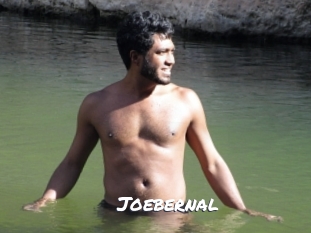 joebernal Ochranne Siete