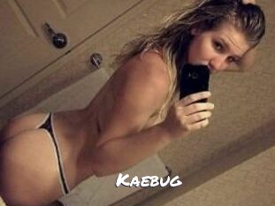 Kaebug