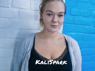 KaliSpark