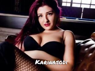 Karinasodi