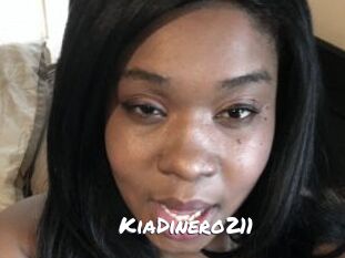 KiaDinero211 Ochranne Siete
