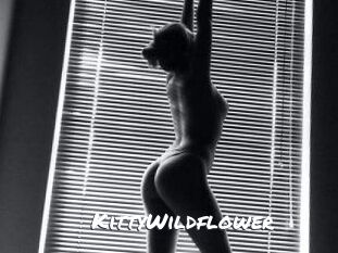 KittyWildflower