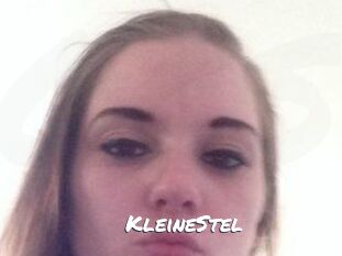 KleineStel